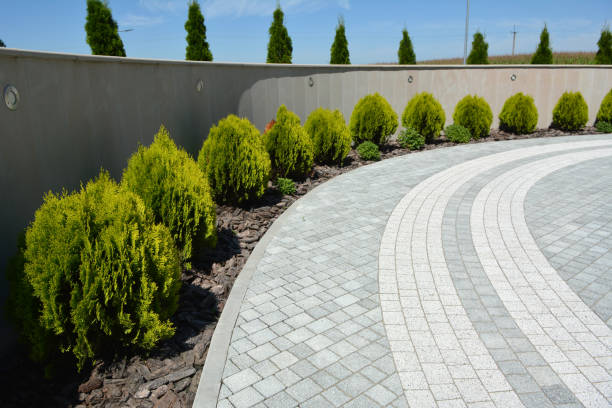 Best Interlocking Driveway Pavers  in Lonsdale, MN